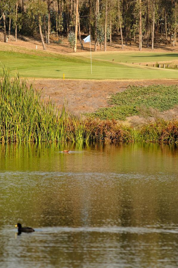 מייטנצ'יו Hotel Green En Marbella מראה חיצוני תמונה